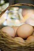 Fresh eggs in a basket