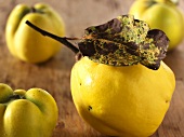 Four quinces