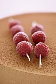 Skewered raspberries decorating a chocolate mousse cake
