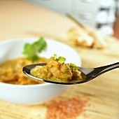 Currysuppe mit Gemüse und Huhn (Indien)