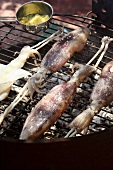 Squid on the barbecue