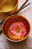 Rose floating in water in golden bowl