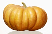 A giant pumpkin