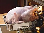 Stuffed turkey in the oven