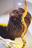 Chocolate muffin with chocolate sauce