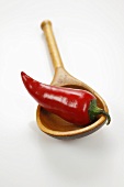 Red chilli on wooden spoon