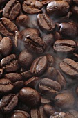 Steaming coffee beans