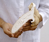 Hands holding a Thai mushroom