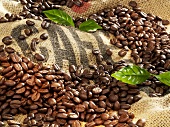 Coffee beans and leaves on jute sack