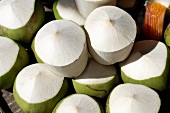 Trinkfertige Kokosnüsse