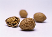 Four walnuts (can also represent wine bouquet)