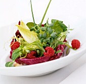 Mixed salad leaves with fresh raspberries
