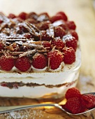 Raspberry tiramisu