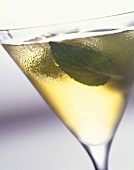 Cocktail with mint leaves