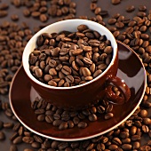 Kaffeebohnen in einer Kaffeetasse