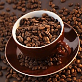 Coffee beans in a coffee cup