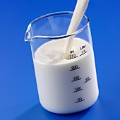 Pouring milk into a measuring jug