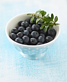 Blueberries in a small bowl