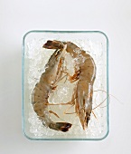 Tiger prawns with crushed ice in a glass dish
