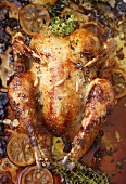 Roast chicken with lemon, pine nuts and herbs