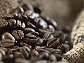 Coffee beans in jute sack