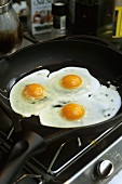 Frying eggs in a frying pan