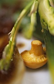 Green asparagus with mushroom