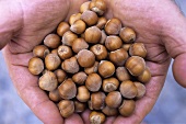 Hazelnuts from Piedmont, Italy