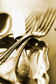Cutlery on silver tray