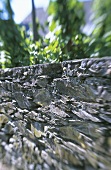Stone wall around a vineyard