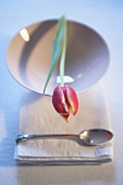 Table decoration: a single tulip