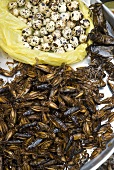 Grasshoppers, cockroaches & quails' eggs on market stall, Thailand