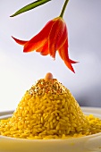 Erotic food: saffron risotto with edible gold leaf