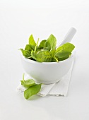 Fresh basil in mortar