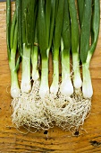 Fresh spring onions on wooden background