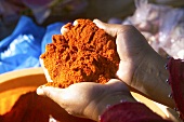Corante (spice, mainly used for colouring, Conde, Brazil)