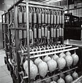 Sausages hanging on a mobile smoking trolley