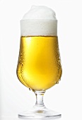 A glass of lager with a head of foam