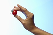 Woman's hand holding a cherry tomato