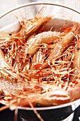 Fresh prawns in a metal bucket
