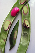 Pole bean, halved lengthways, with beans