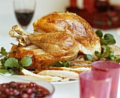 Turkey on a platter with cranberry sauce (Christmas)
