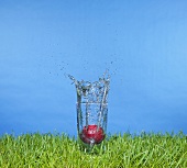 A plum falling into a glass of water on grass out of doors