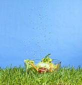 Salad ingredients falling into a bowl of water on grass