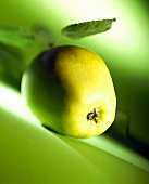 Ein Golden Delicious vor grünem Hintergrund