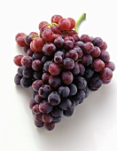 A Bunch of Red Grapes