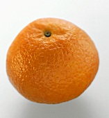 A Whole Tangerine