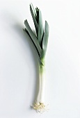 A Leek