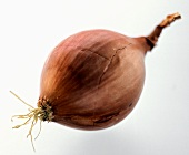 A Red Onion