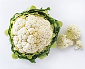 A Head of Cauliflower